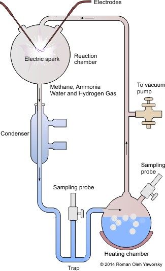 The Urey Miller experiment of 1953 established the possiblity of life beginning from simpler molecules on earth. It's conlusions and assumptions have been shown to be completely without basis.